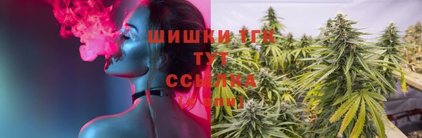 прущие грибы Лабытнанги