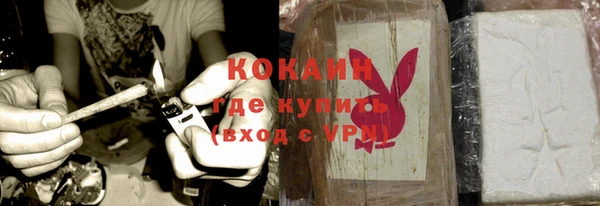 прущие грибы Лабытнанги