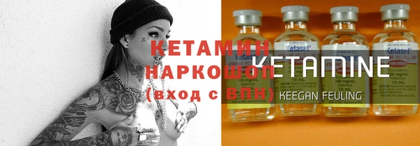 прущие грибы Лабытнанги
