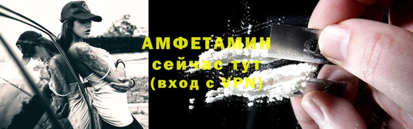 гашик Тихвин