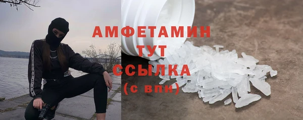 прущие грибы Лабытнанги