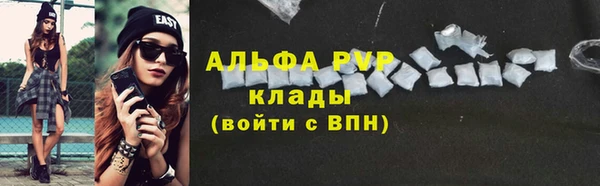 прущие грибы Лабытнанги