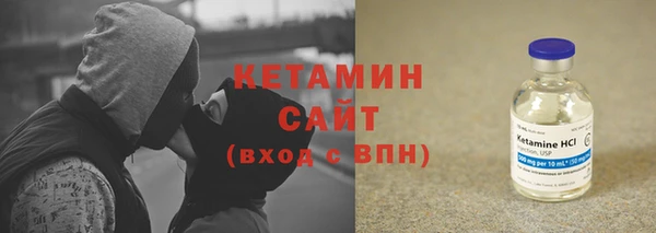 прущие грибы Лабытнанги