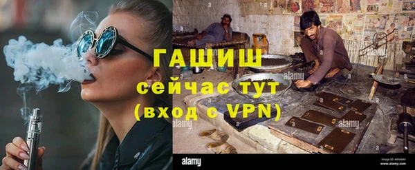 прущие грибы Лабытнанги