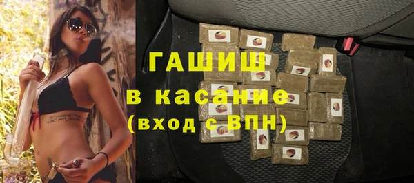 прущие грибы Лабытнанги