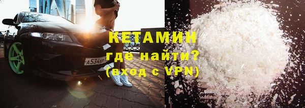прущие грибы Лабытнанги
