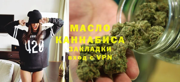 прущие грибы Лабытнанги