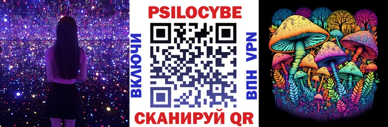 Псилоцибиновые грибы Psilocybine cubensis  Малгобек 