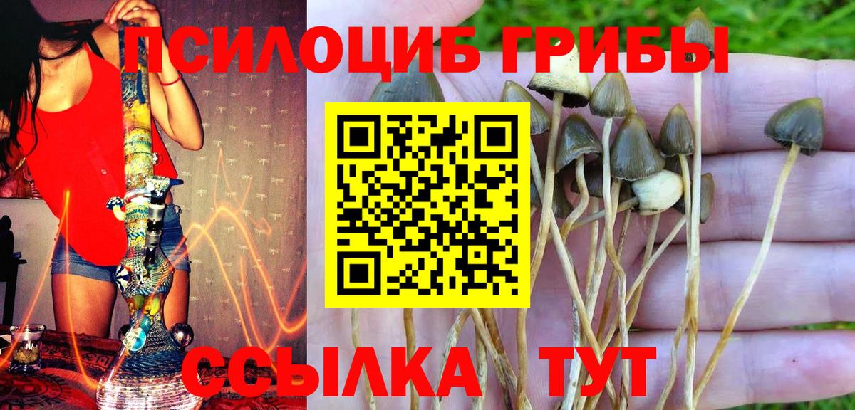 МЕФ кристаллы  КОКАИН  Бошки Шишки  A-PVP СК кристаллы  Малгобек  МЕТАМФЕТАМИН  ГАШИШ  Гашиш  Вход с VPN 