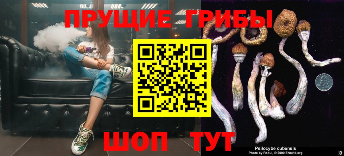 Малгобек  Галлюциногенные грибы MAGIC MUSHROOMS  Вход с VPN 